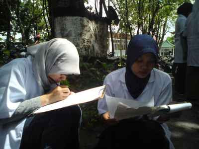 Contoh Metode Ilmiah Biologi Tentang Tumbuhan