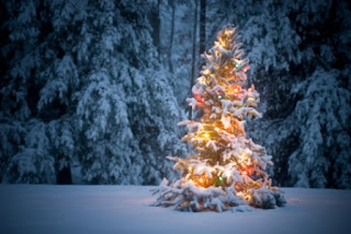 Christmas Lights Photos Tree Lights