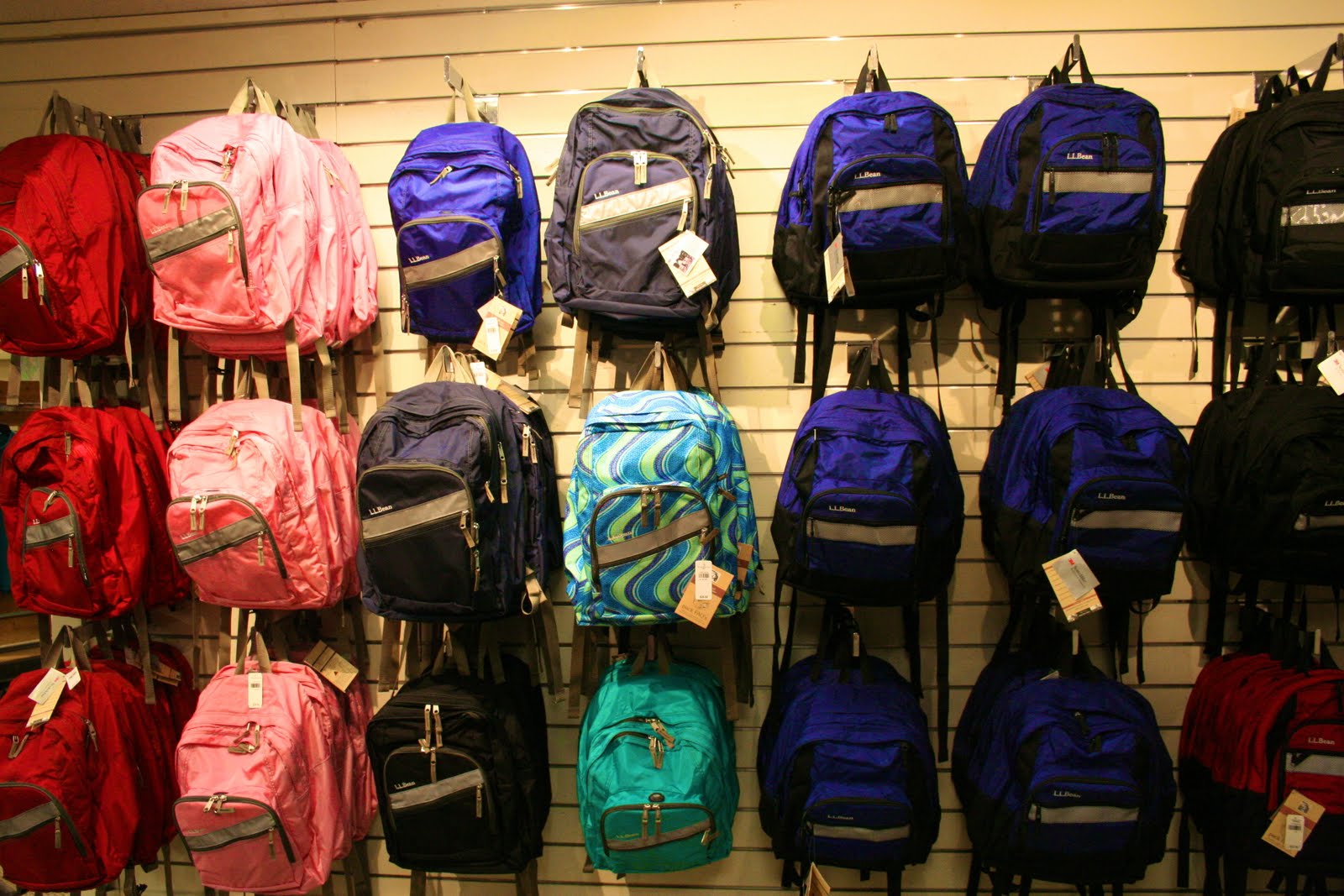 My Igloo Life June 2011