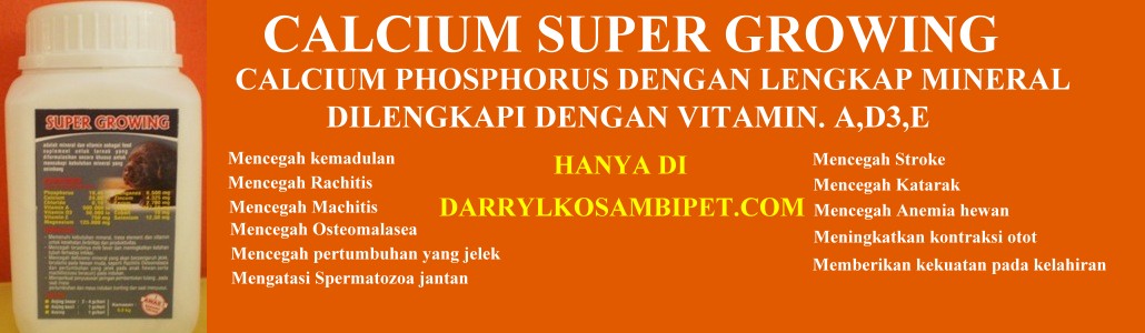 Calcium-Anjing-Kucing-Super Growing-Untuk-Pertumbuhan-Anak-Mantep 