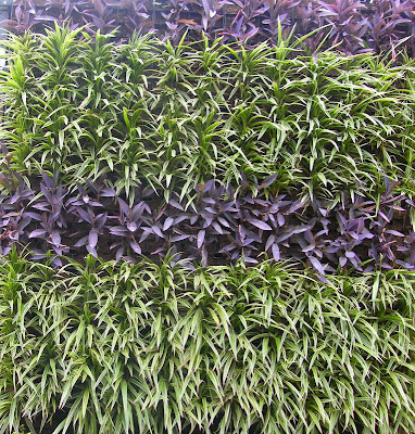 mau-san-vuon-nho-dep-thang-dung+(14)