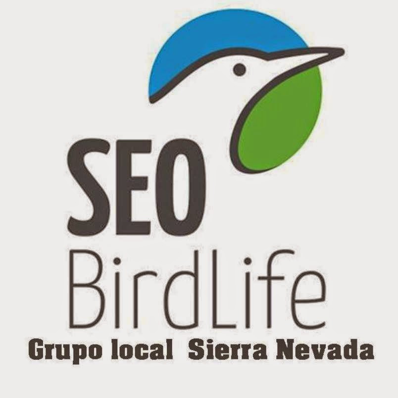 Grupo Local SEO Sierra Nevada