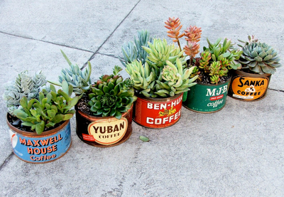 Picture7 - DIY Tin Can Planters