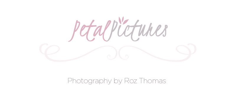 Petal Pictures