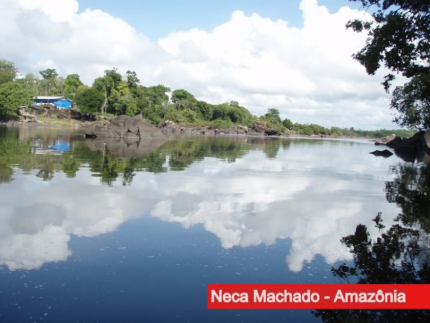 AMAZONIA BY NECA MACHADO