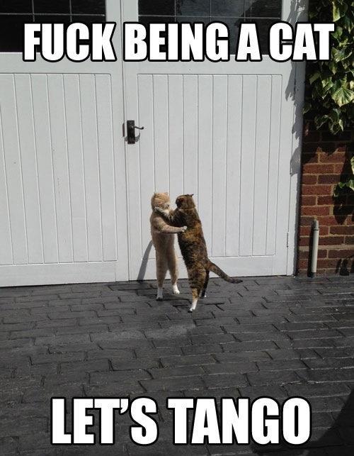 Let's tango Let's tango.. (imagenes para facebook imagenes de frases )