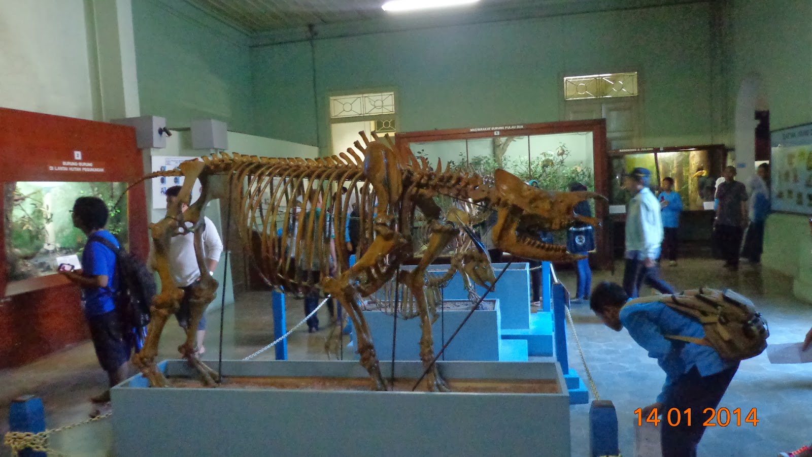 Museum Zoologi ~ @Ridwan_Joelyant's