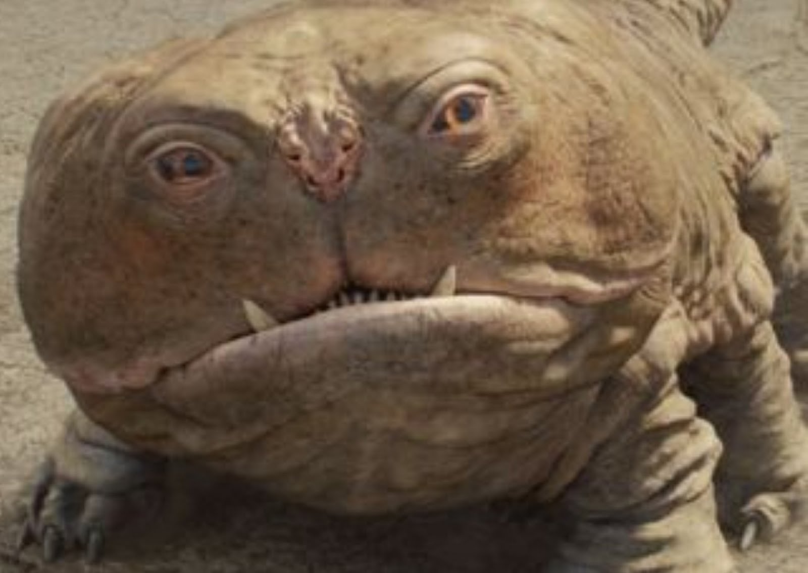Dog Lizard