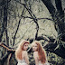 Belleza y Fealdad