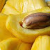 Cegah Stres dengan Biji Buah Nangka