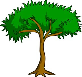 desenho de árvore, arvore desenho, árvore, ilustrada, ilustração