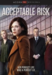 Acceptable Risk Temporada 1 audio español Acceptable Risk Temporada 1 audio español