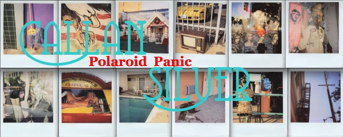 Polaroid Panic