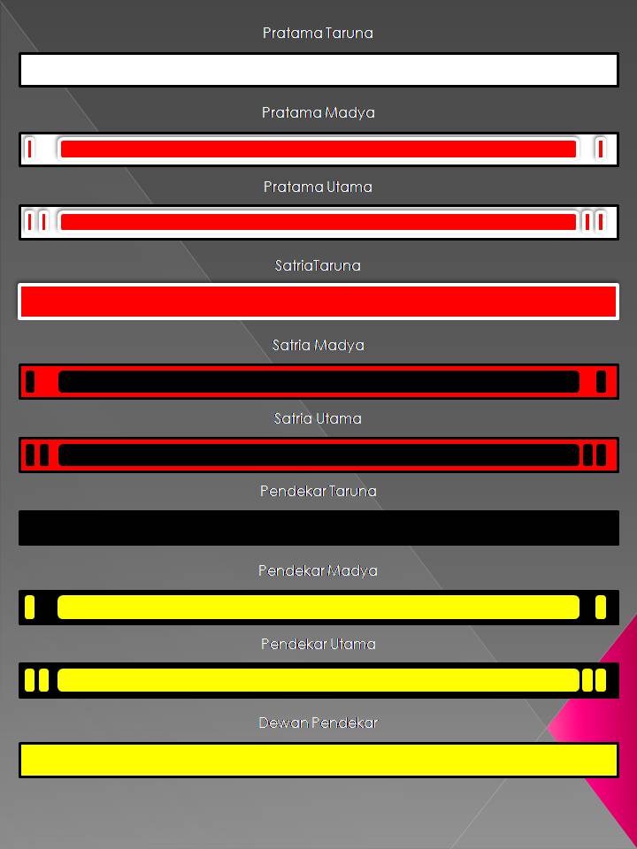 MATA PELAJARAN IPS PPS SATRIA MUDA INDONESIA