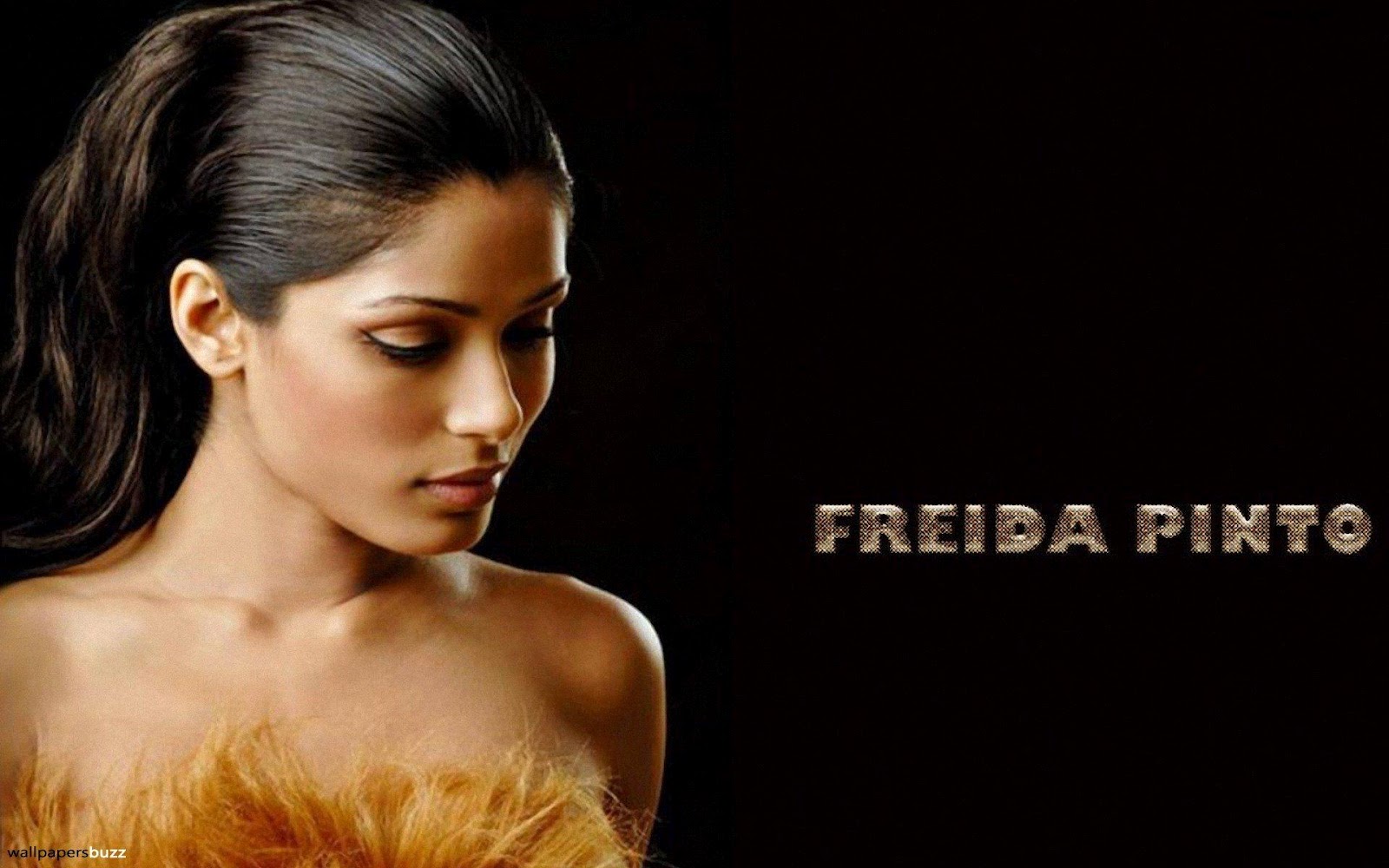 http://4.bp.blogspot.com/-v-WK49DkWt4/T8450EpSnwI/AAAAAAAABFg/vq1R4l3vV80/s1600/Freida_Pinto_Photo_in_HD.jpg
