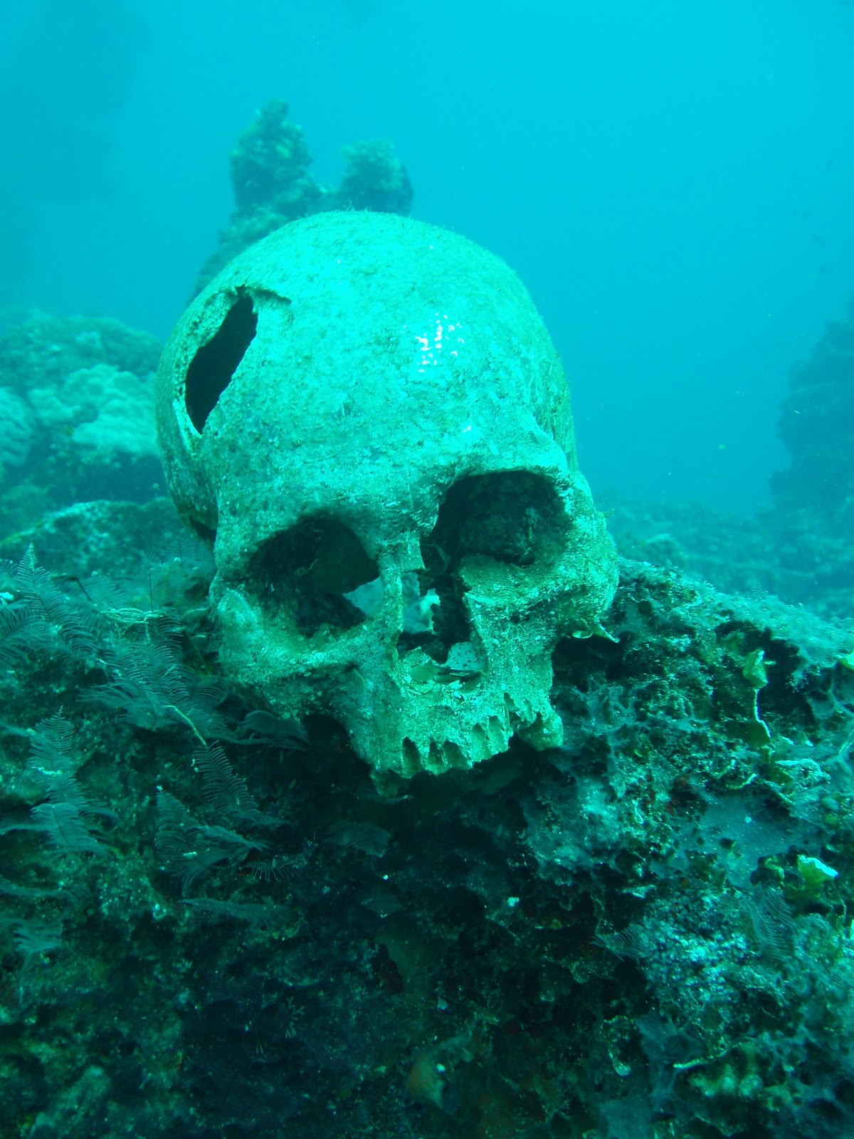 DiveJudo Diving in Truk Lagoon Wrecks