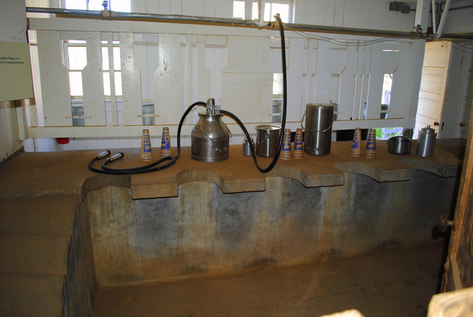 Sunny Morning Farm My Visit To Connemara Farm