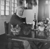 El gato de Hemingway