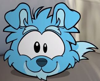 Cat And Dog Puffles Cat And Dog Puffles