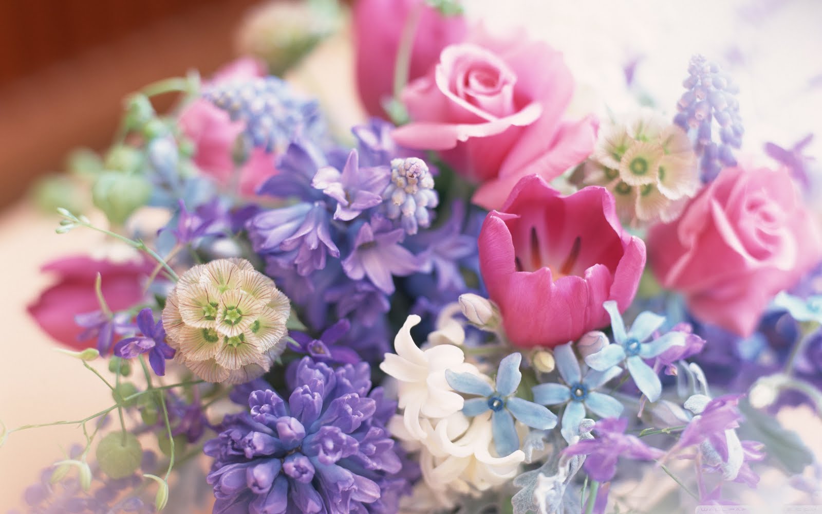 http://4.bp.blogspot.com/-v0pv-uFW5gQ/UNCyKJyNxrI/AAAAAAABE60/WsSmsmqex4k/s1600/bm-image-776360.jpeg