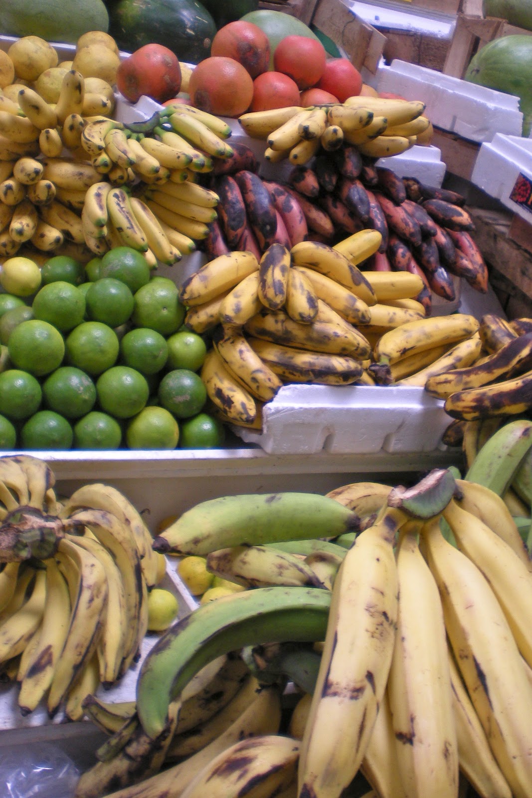 Quito, Ecuador small adventures, BIG Memories