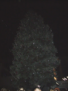 IMGP4598.JPG