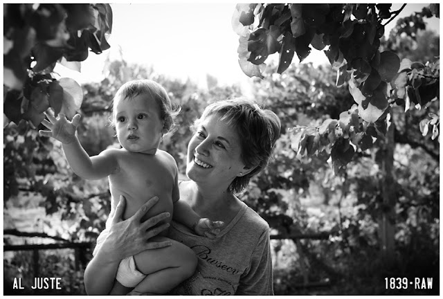 De Alicante a Alcañiz. Fotografías de Ángel Luis Juste.