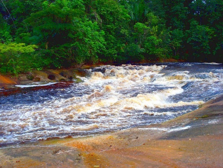 GEOGRAFIA DE RIO PRETO DA EVA AMAZONAS