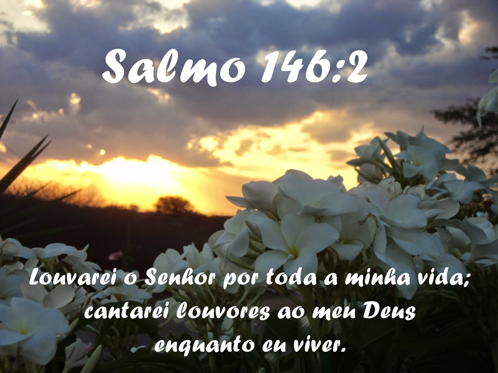 http://4.bp.blogspot.com/-v252lsjaas4/VRMiCZ67MCI/AAAAAAAAAN0/EWMxFXJwvzc/s1600/Salmo%2B146%2B2.JPG