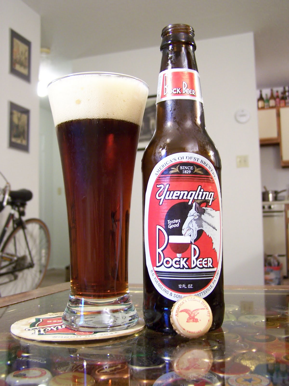 Musings on Beer Yuengling Bock Beer