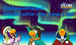 Baner de Blog