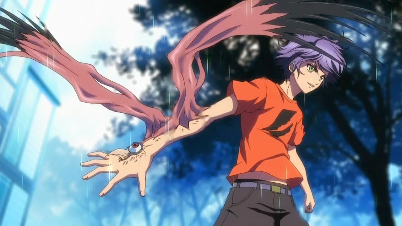 Rincón de Nipi: Hakkenden Eight dogs of the East