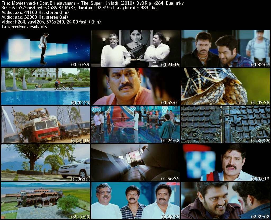 Screenshot of The Super Khiladi (Brindavanam) (2010) The Super Khiladi (Brindavanam) (2010) BDRip