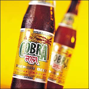 Cobra Beer 40