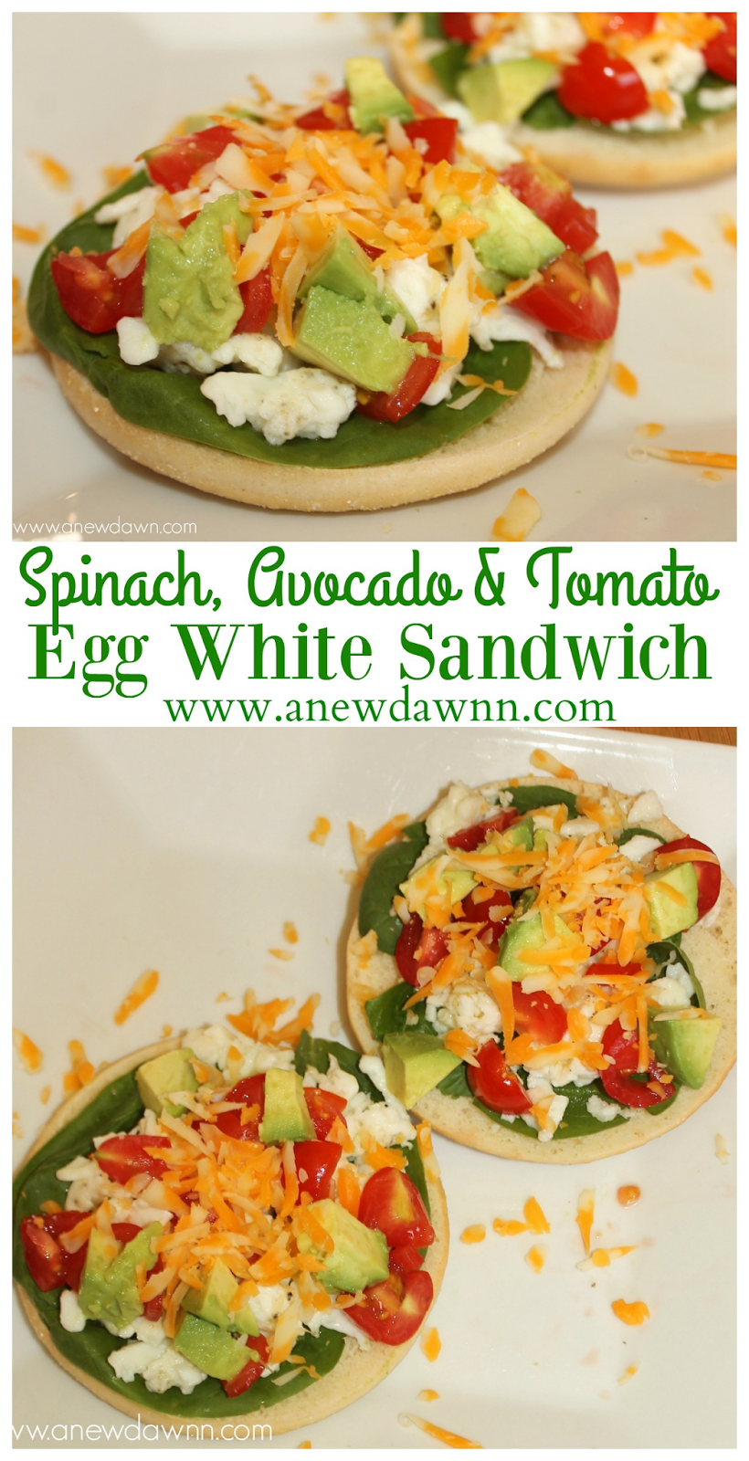 Spinach Avocado & Tomato Egg White Sandwich {Recipe} A New Dawnn