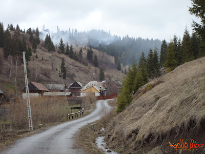 Drum asfaltat Platonesti