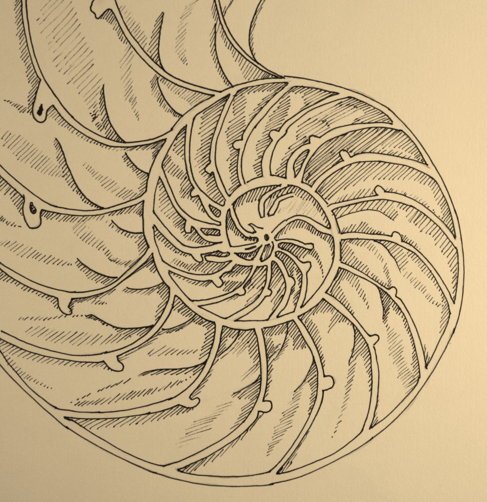 Lynn Norton: Line Drawing