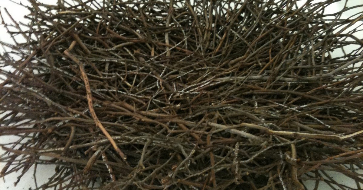 two in a teacup Bunjil Nest