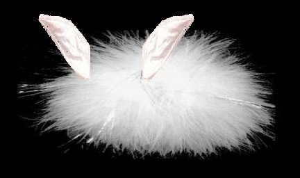 Really Fluffy Bunny