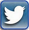 Follow me on Twitter