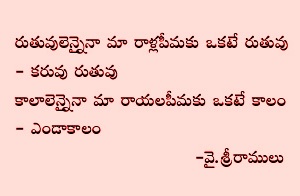 సీమ పలుకు