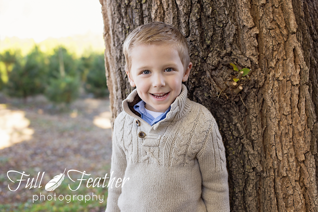 christmas mini session