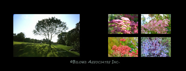 ©Copyright - Bilowz Associates Inc.
