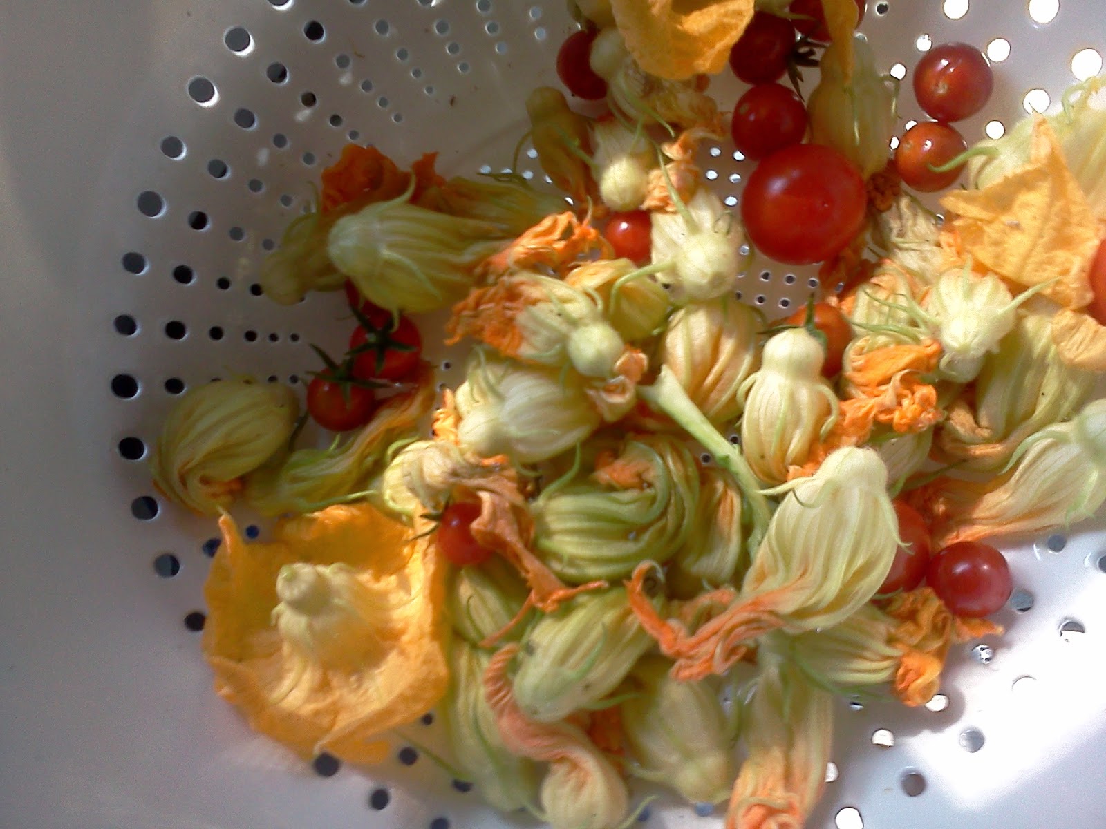DepressionEra Grandma in Training Garden Breakfast Kale & Squash Blossom Omelette