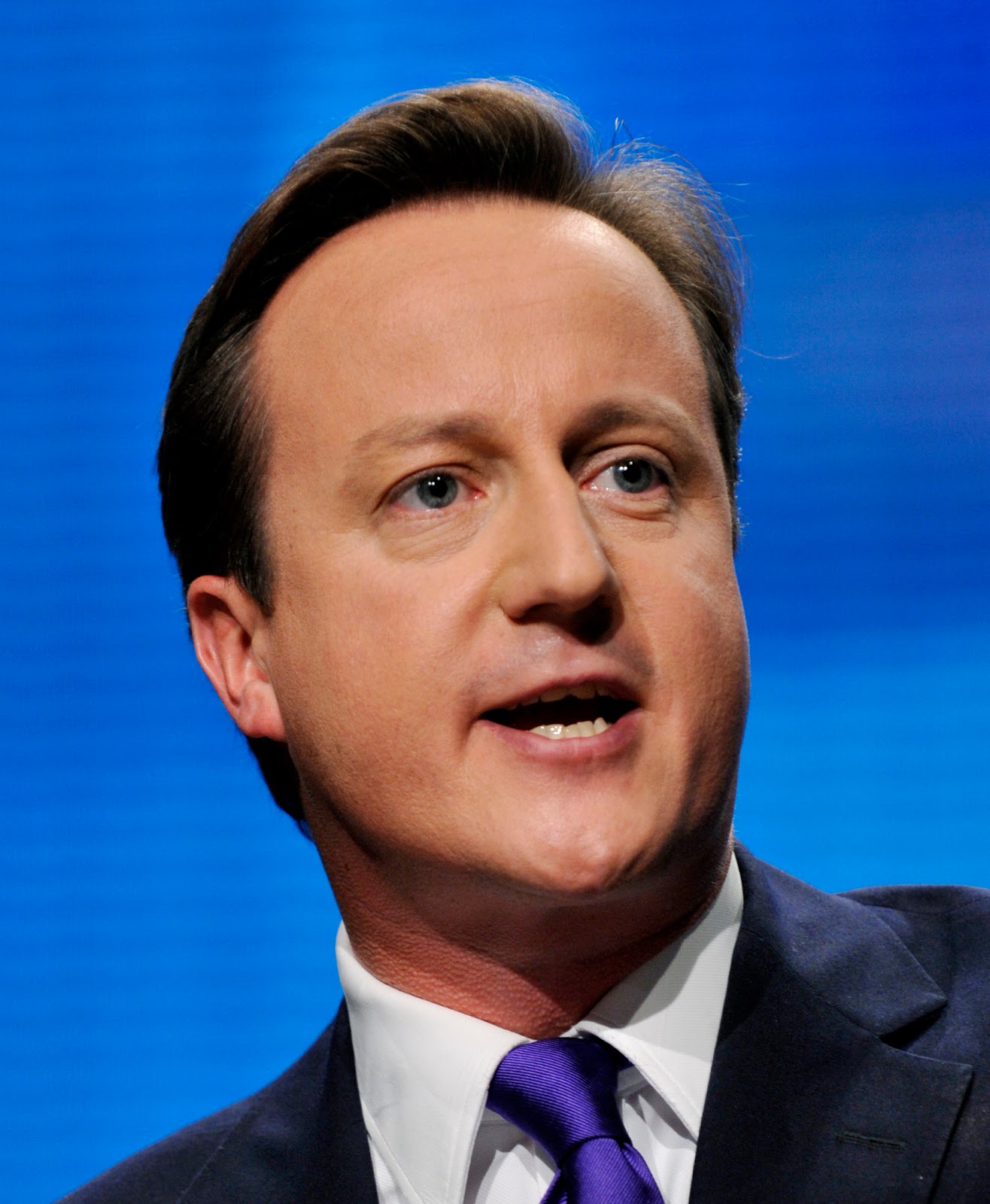 David Cameron: Practically a Conservative..