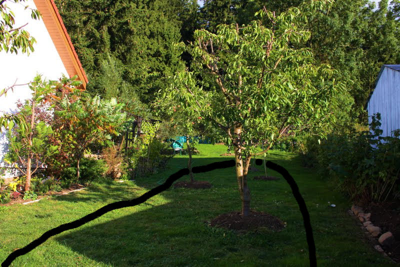 Warum kann ich während der Frauenmilchernährung nicht abmagern