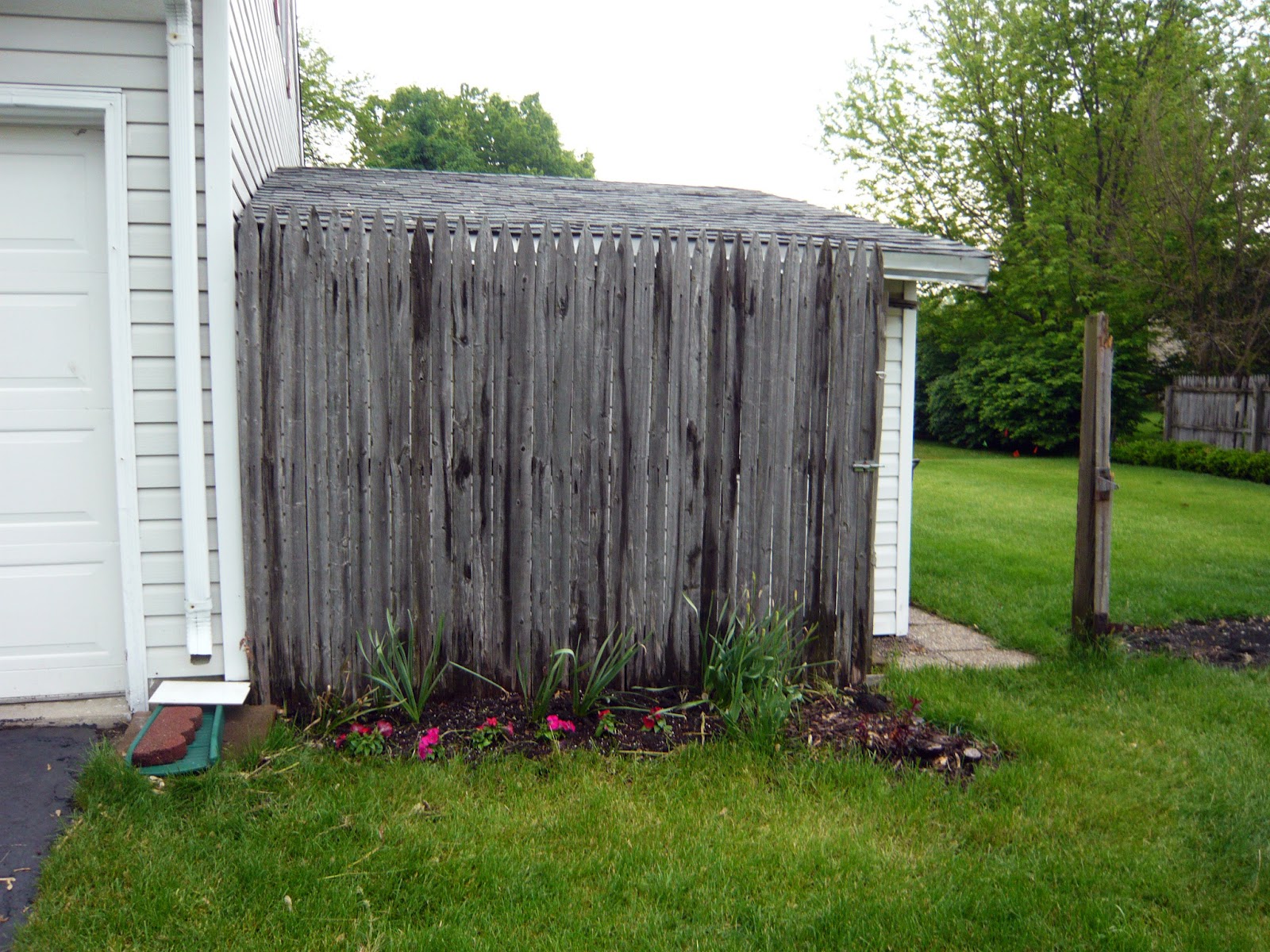 backyard fence pictures