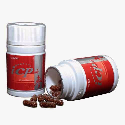 Tasly ICP Capsule tasly icp capsule, icp capsule