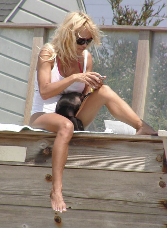 Pamela Anderson barefoot on a public street.