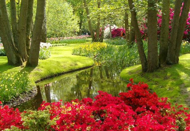 world's largest flower garden